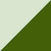 zebra green